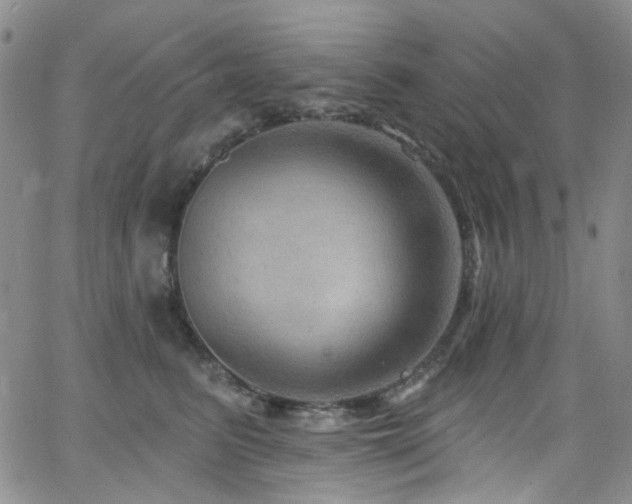 X0000063530615200601201500