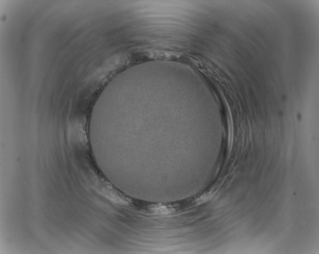 X0000063530616200601201500