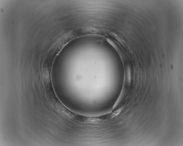 X0000063530617200601201500