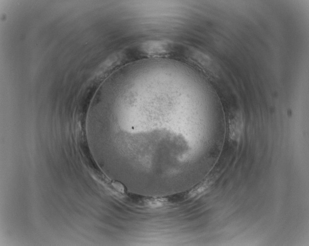 X0000063530618200601201500