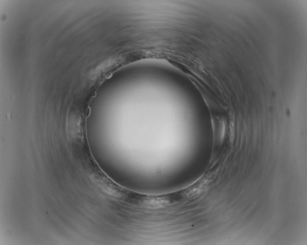 X0000063530619200601201500