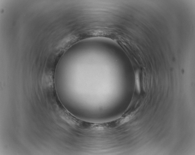 X0000063530620200601201500