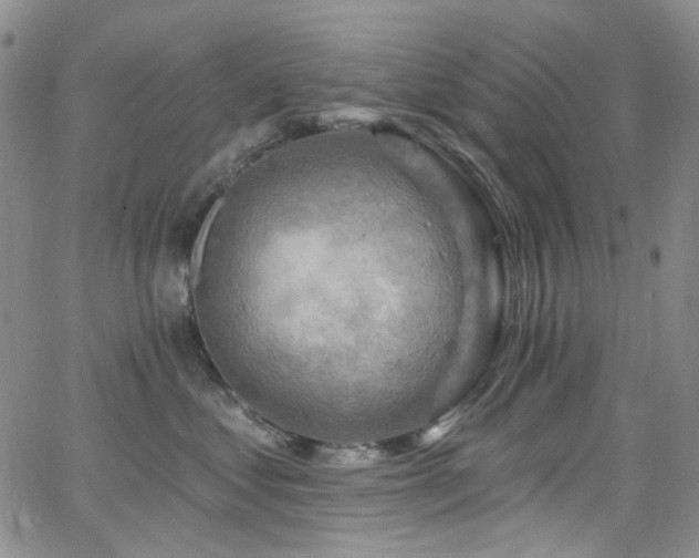 X0000063530621200601201500