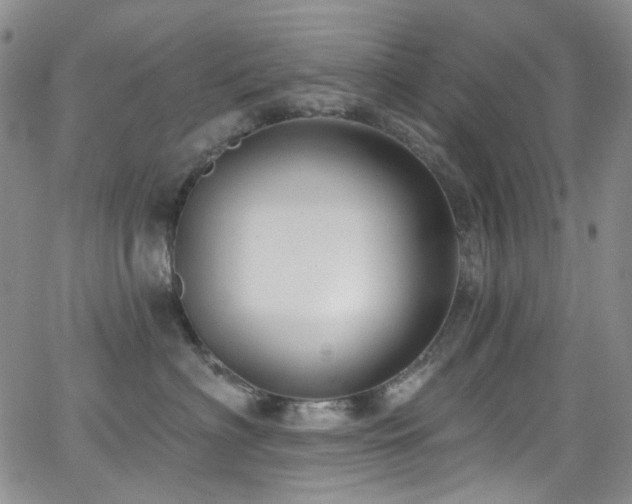 X0000063530622200601201500