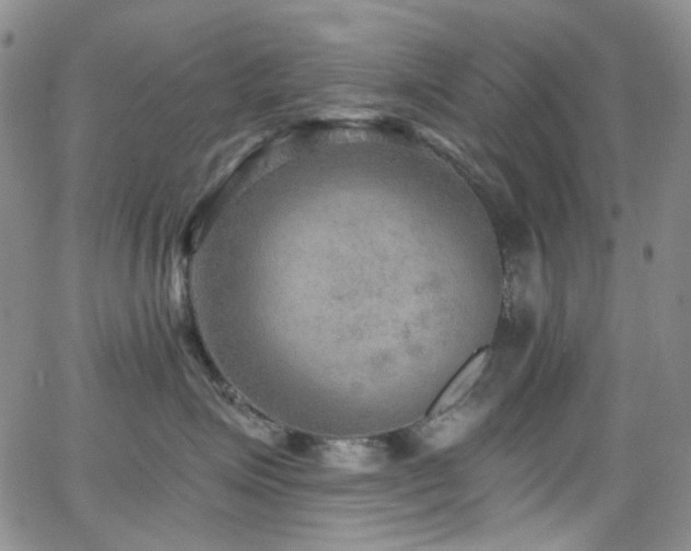 X0000063530623200601201500