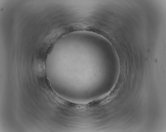 X0000063530624200601201500