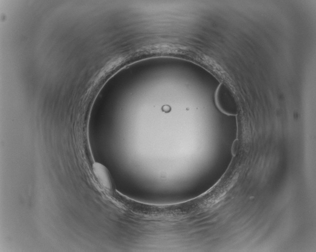 X0000063530625200601201459