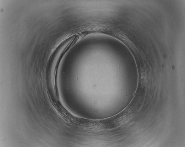 X0000063530626200601201459