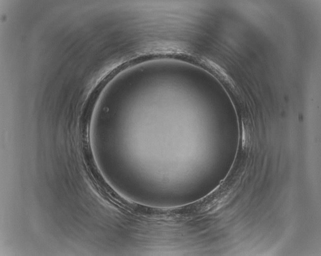 X0000063530627200601201459