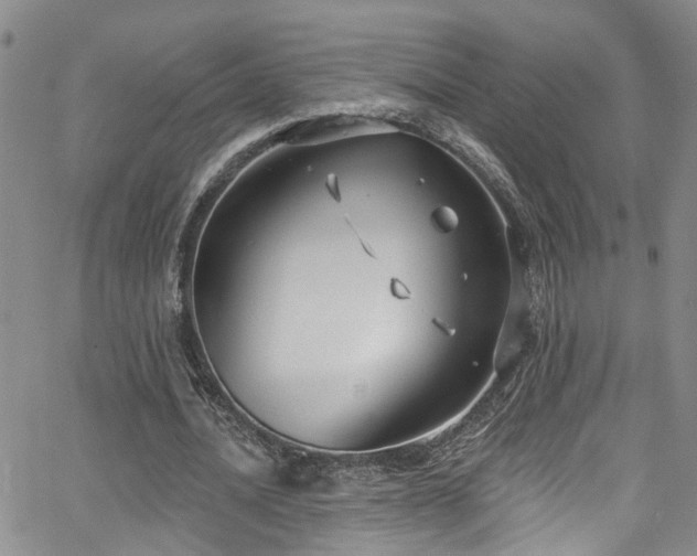 X0000063530628200601201459