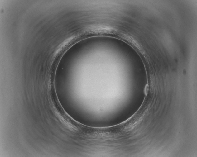 X0000063530629200601201459