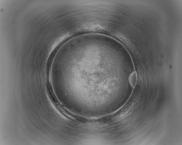 X0000063530630200601201459