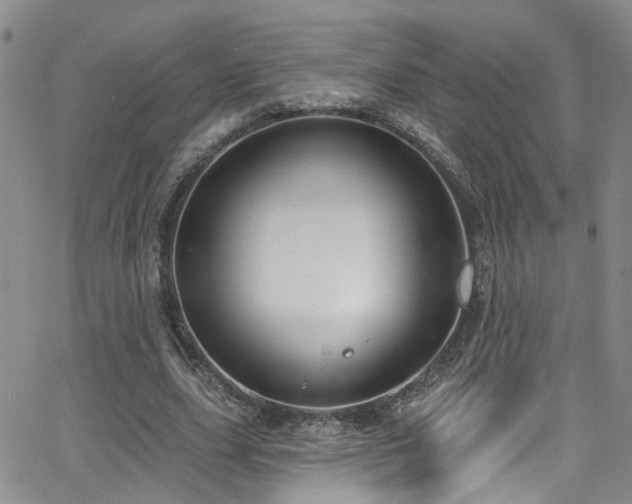 X0000063530631200601201459