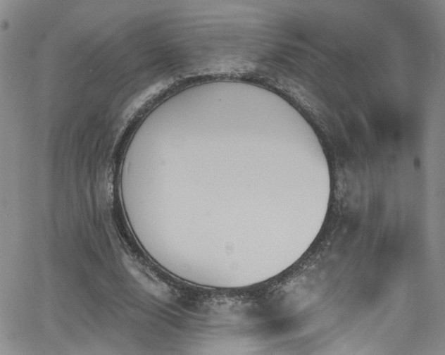 X0000063530632200601201459