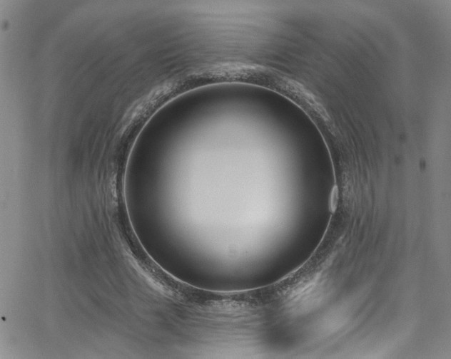 X0000063530633200601201459