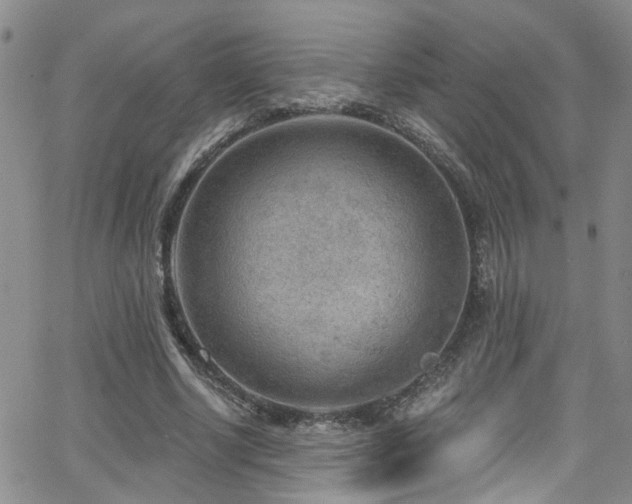 X0000063530634200601201459