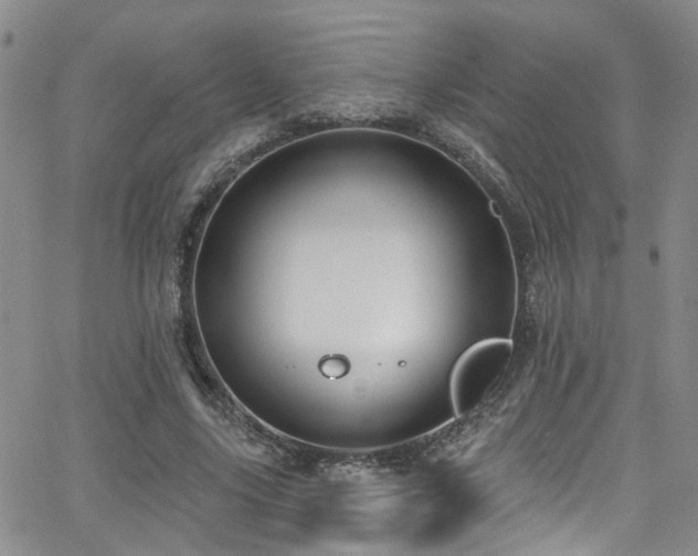 X0000063530635200601201459