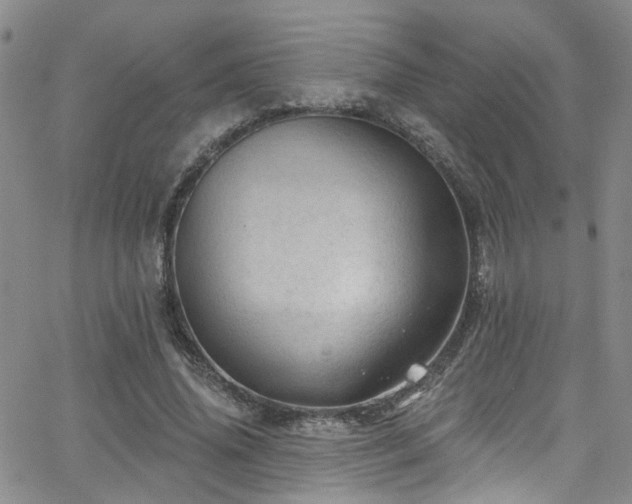 X0000063530636200601201459