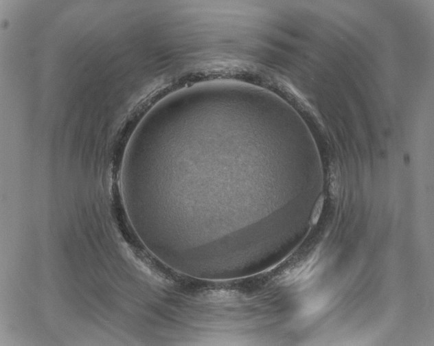 X0000063530637200601201459