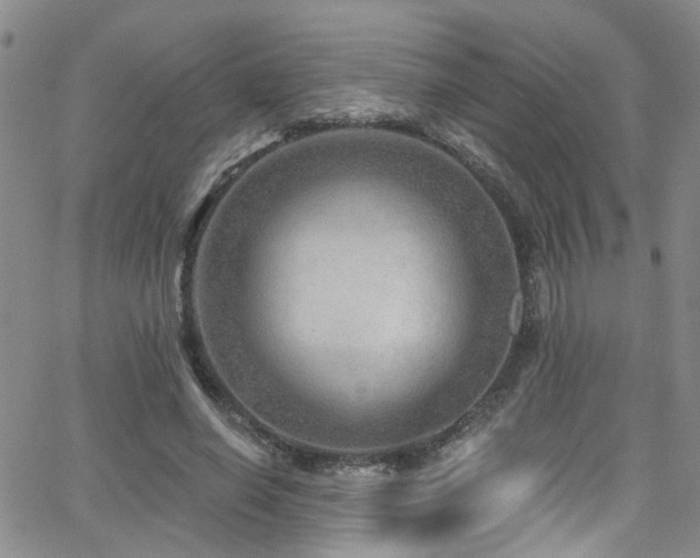 X0000063530638200601201459