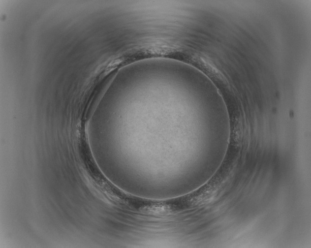 X0000063530639200601201459