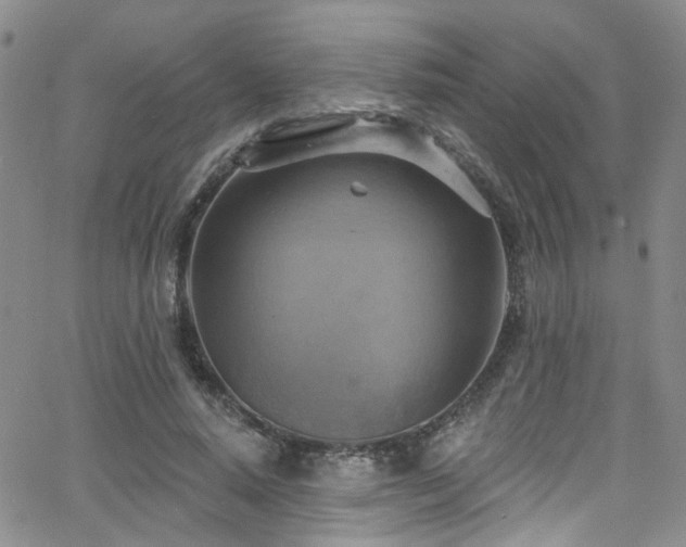 X0000063530640200601201459