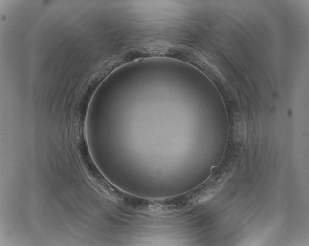 X0000063530641200601201459