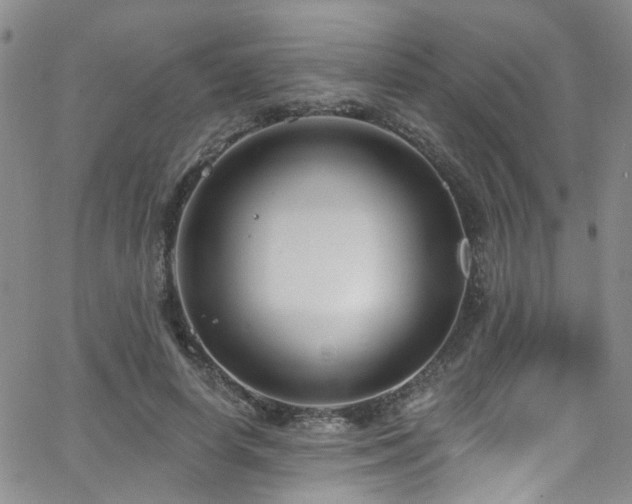 X0000063530642200601201459