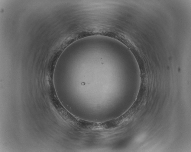 X0000063530643200601201459