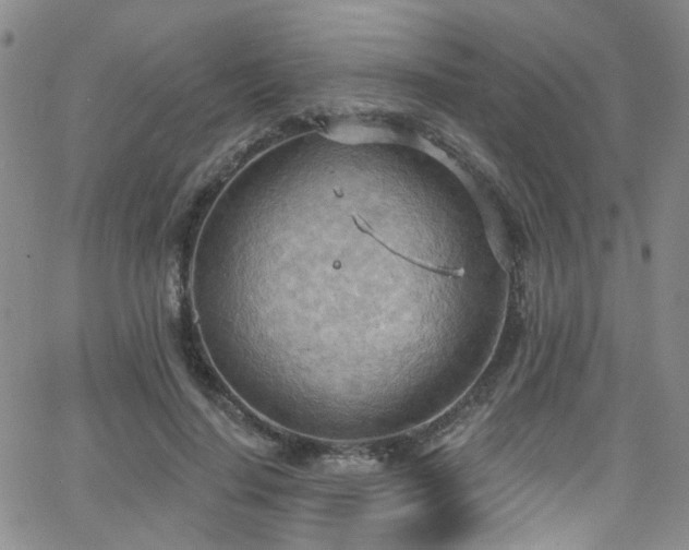 X0000063530644200601201459