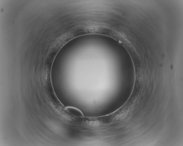 X0000063530645200601201459