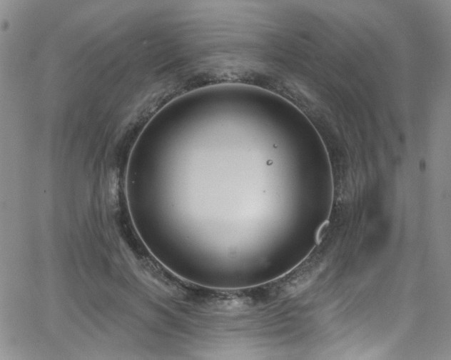 X0000063530646200601201459