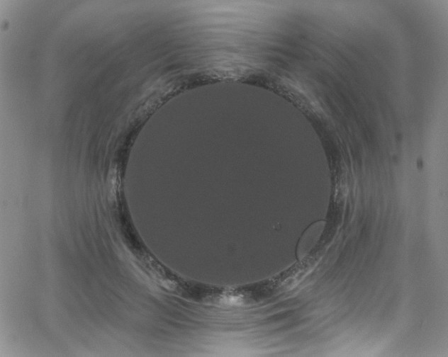 X0000063530647200601201459