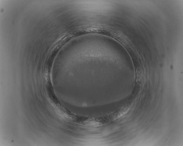 X0000063530648200601201459