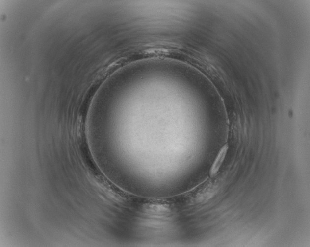 X0000063530649200601201459