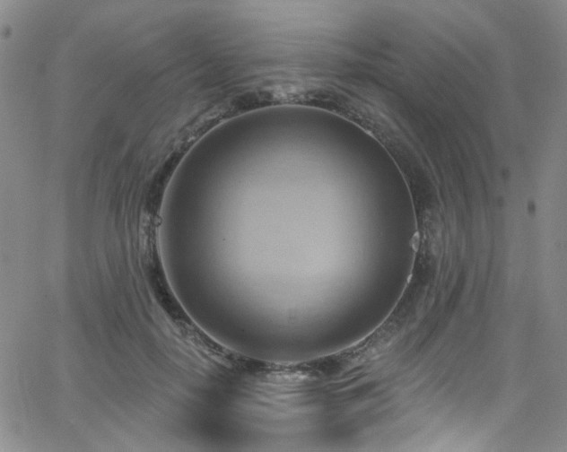 X0000063530650200601201459