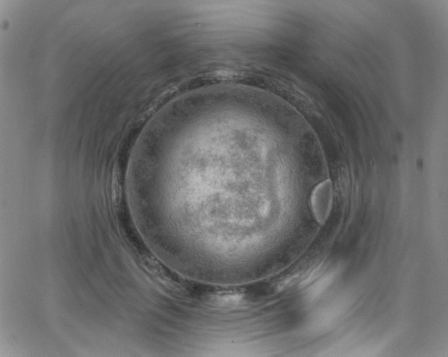 X0000063530651200601201459