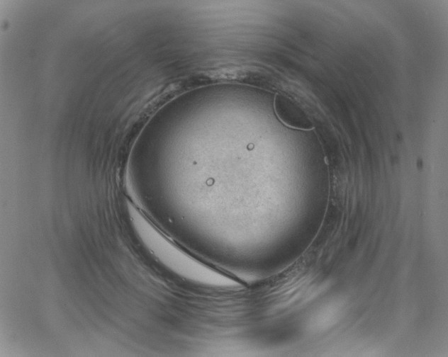 X0000063530652200601201459