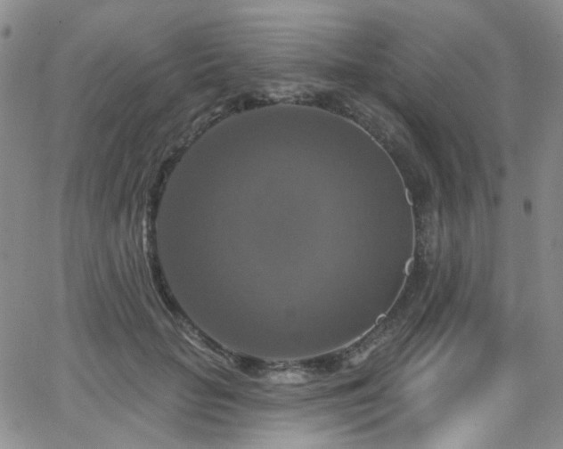 X0000063530653200601201459