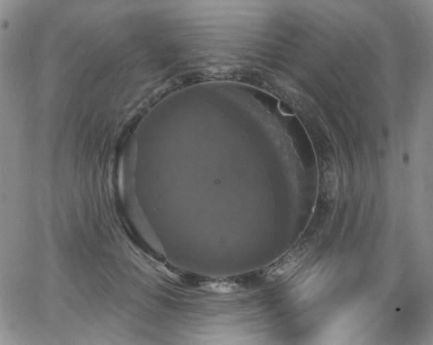 X0000063530654200601201459