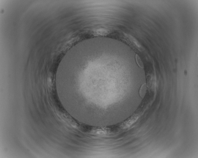 X0000063530655200601201459