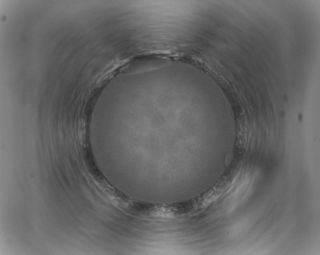 X0000063530656200601201459