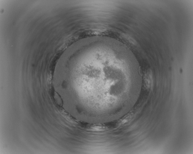 X0000063530657200601201459