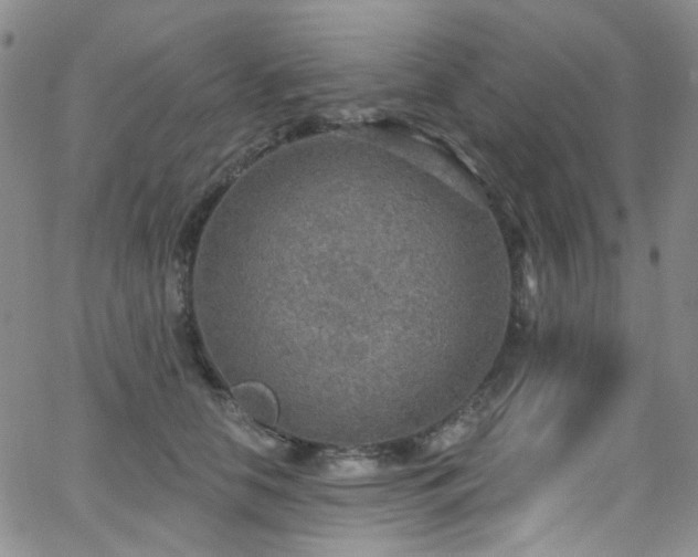 X0000063530658200601201459