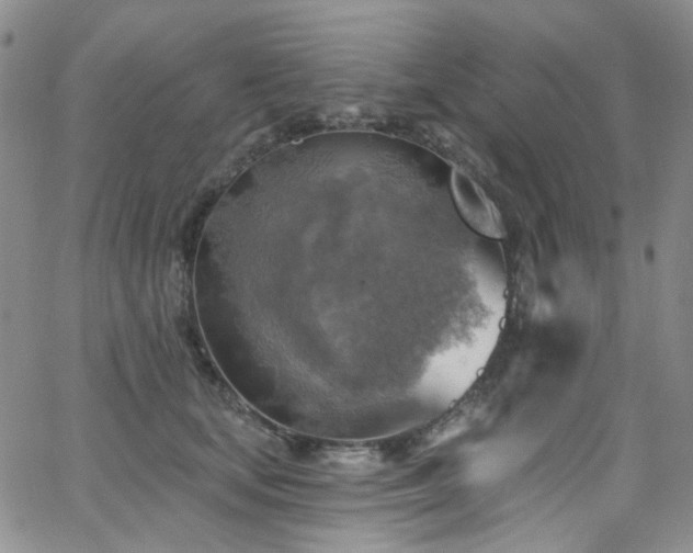 X0000063530659200601201459