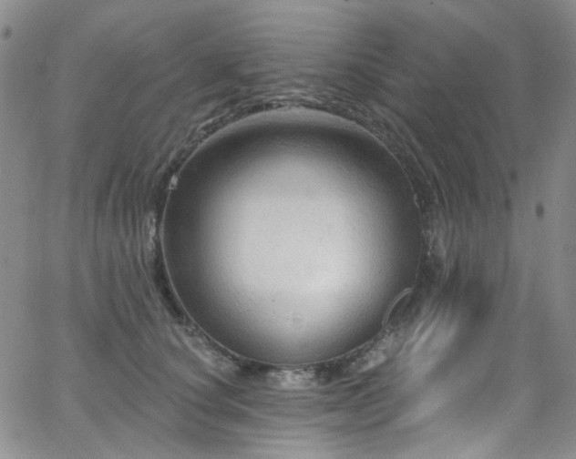 X0000063530660200601201459