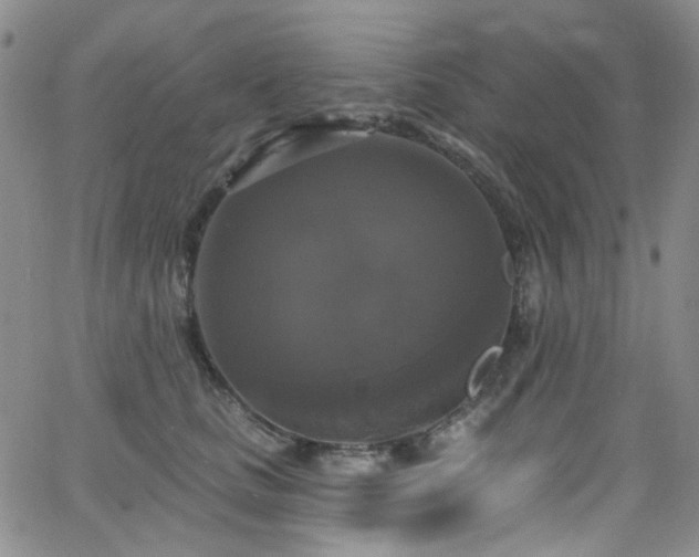 X0000063530661200601201459