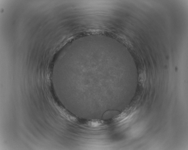 X0000063530662200601201459