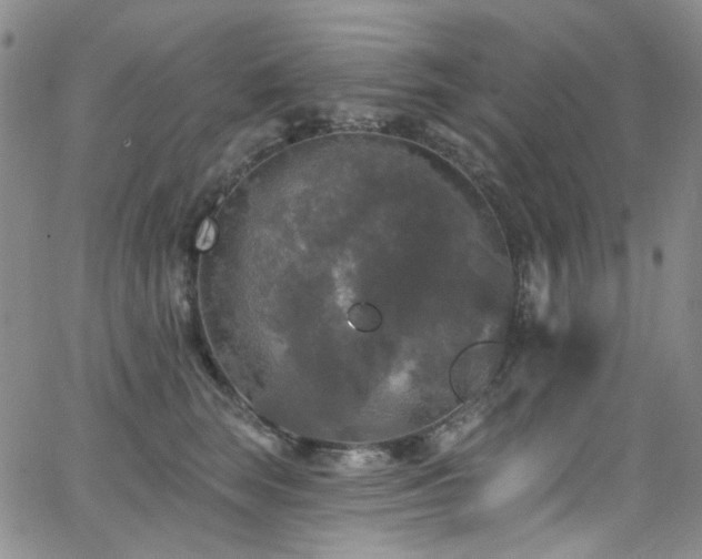 X0000063530663200601201459