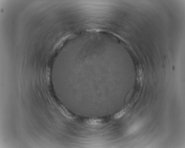 X0000063530664200601201459